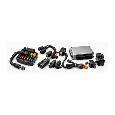Body Electrical System
